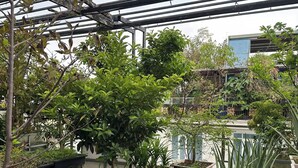A greenhouse with various potted plants and a metal structure overhead.