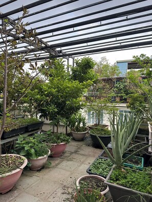 Property grounds - Spacious and peaceful homestay | New Room | Easy Access to Airport & Downtown (Hồ Chí Minh)