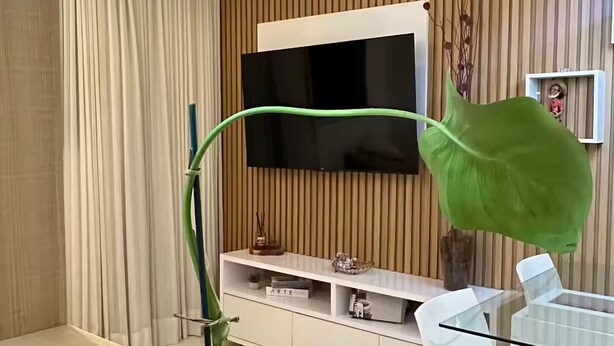 Un salon moderne avec un téléviseur à écran plat fixé sur un mur recouvert de panneaux en bois, une table basse en verre sur laquelle se trouve un bol rempli d’objets ronds, et un fauteuil blanc.