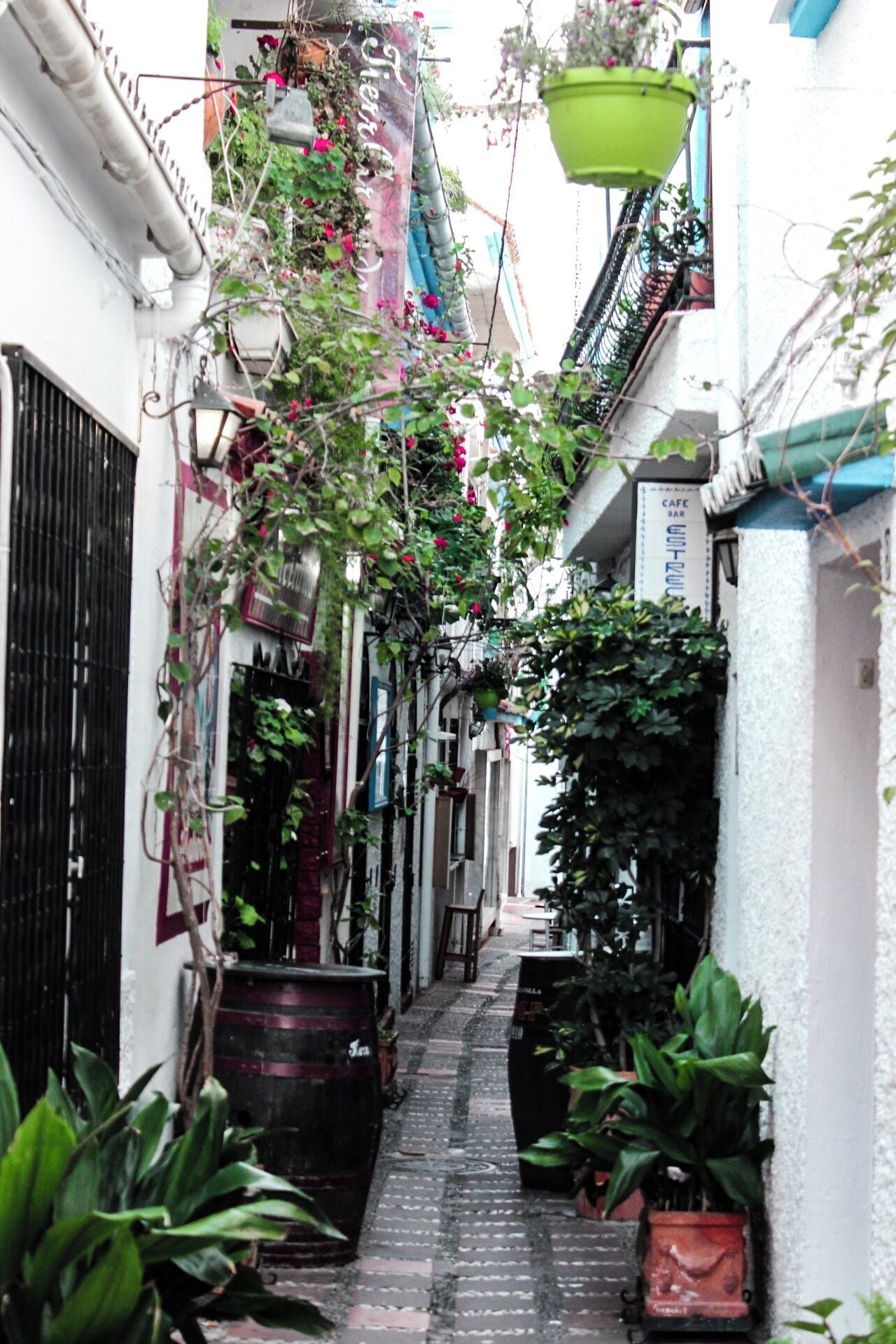 Quang cảnh thành phố