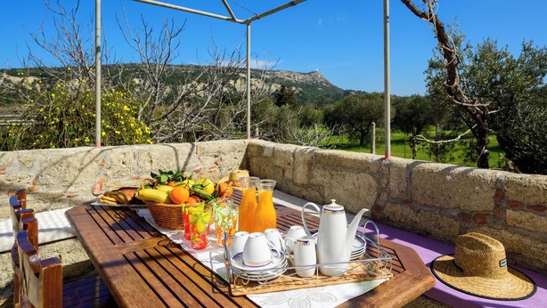 An outdoor dining area with a wooden table set for breakfast, including fruits, beverages, and breakfast items. - Yanni’s Place (93MF+669 Petaloudes, Greece)
