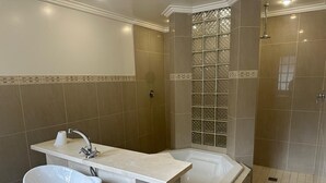Luxury Suite | Bathroom | Separate tub and shower, hair dryer (on request), bathrobes, bidet