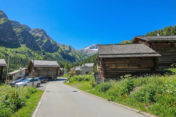 Standaard chalet, meerdere slaapkamers (Rustico Al Museo Bosco Gurin) | Parkeren | Gratis parking