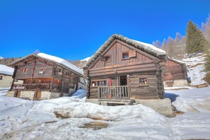 Standaard chalet, meerdere slaapkamers (Rustico Al Museo Bosco Gurin) | Exterieur