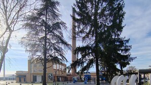 A park with a playground, a tall tree, and a building with a sign. - Mio City Hotel (Kula)