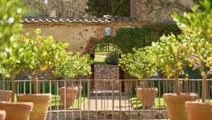 A garden pathway leading to a stone archway with a tiled roof, surrounded by potted plants and a metal fence. - Sant'Anna in Camprena Agriturismo (Pienza)
