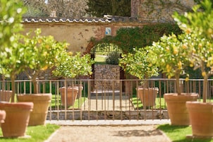 Garden view