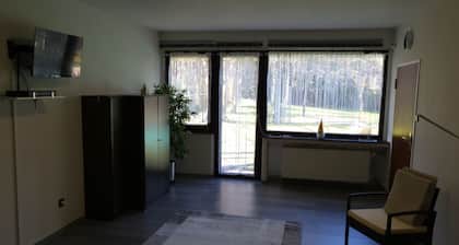 Grosszügige FeWo für 4 Personen in St.Goar. Wandern, Radeln,Boot fahren,Loreley