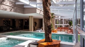 A pool area with a large tree, wooden seating, and a view of the surrounding architecture. - Champet Boutique Hotel (Campos do Jordão)