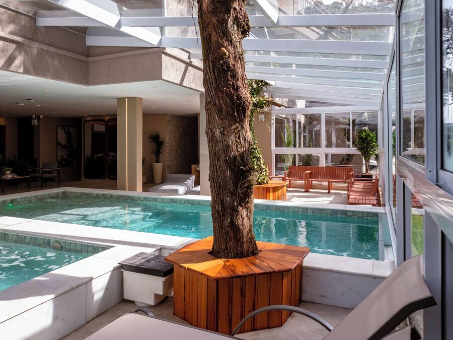 A pool area with a large tree, wooden seating, and a view of the surrounding architecture.