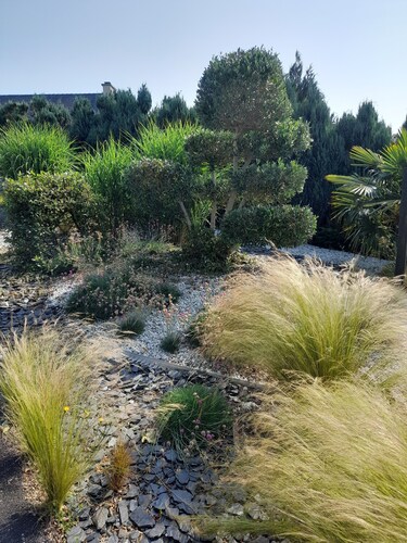 Between land, sea and forest