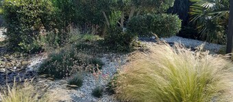 Between land, sea and forest