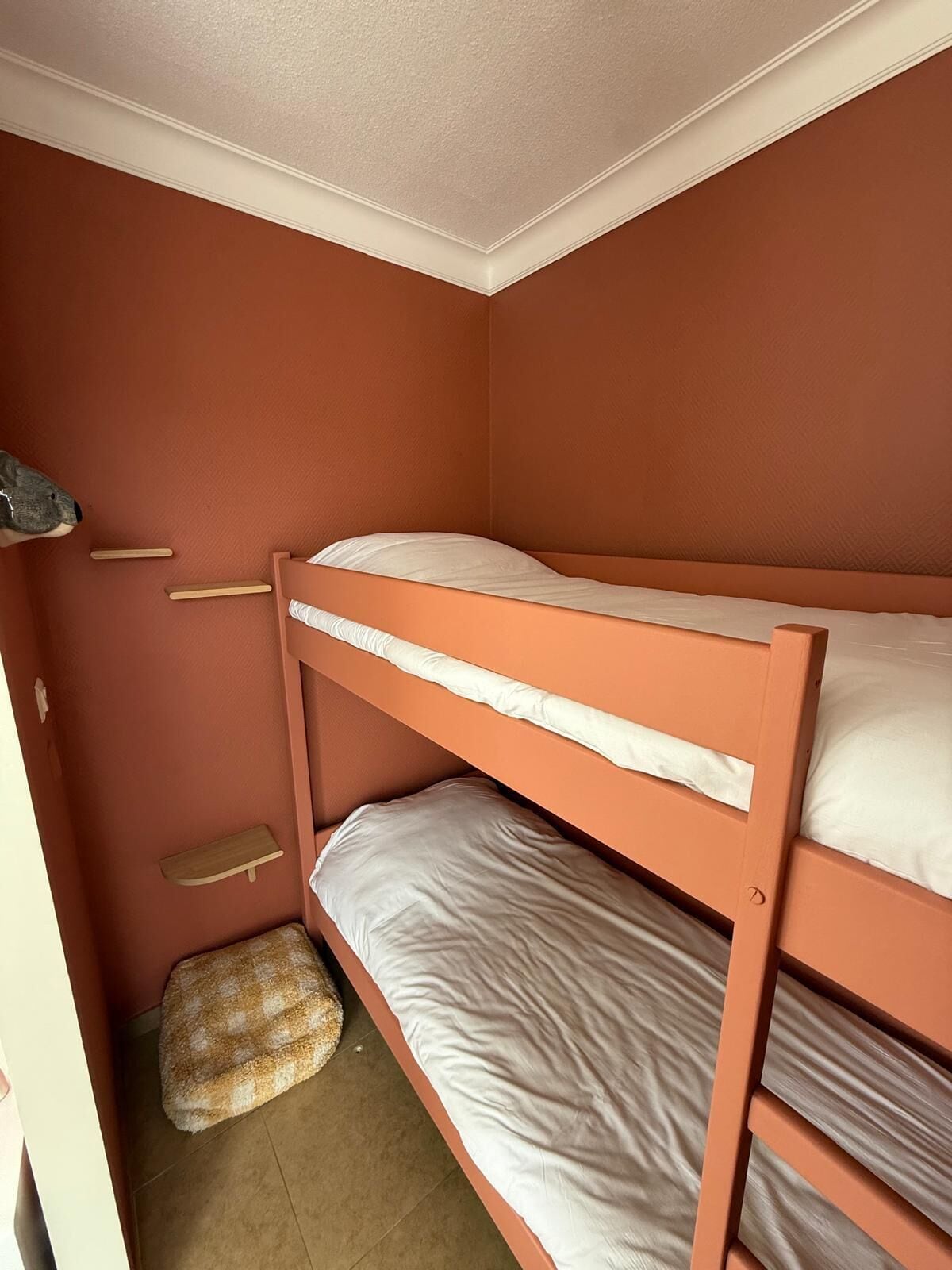 A bunk bed room with a brown wall, a small shelf, and a patterned rug.