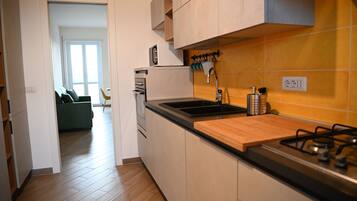 Apartment, Balcony, City View | Private kitchen