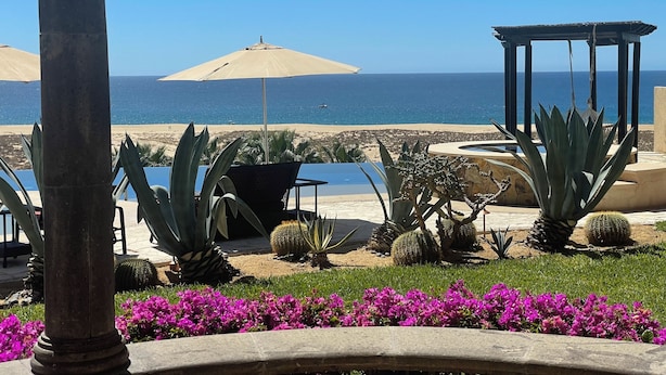 A patio area with a view of the ocean, featuring a pool, cacti, and purple flowers. - Vicroy Novaispania Estates (Cabo San Lucas)