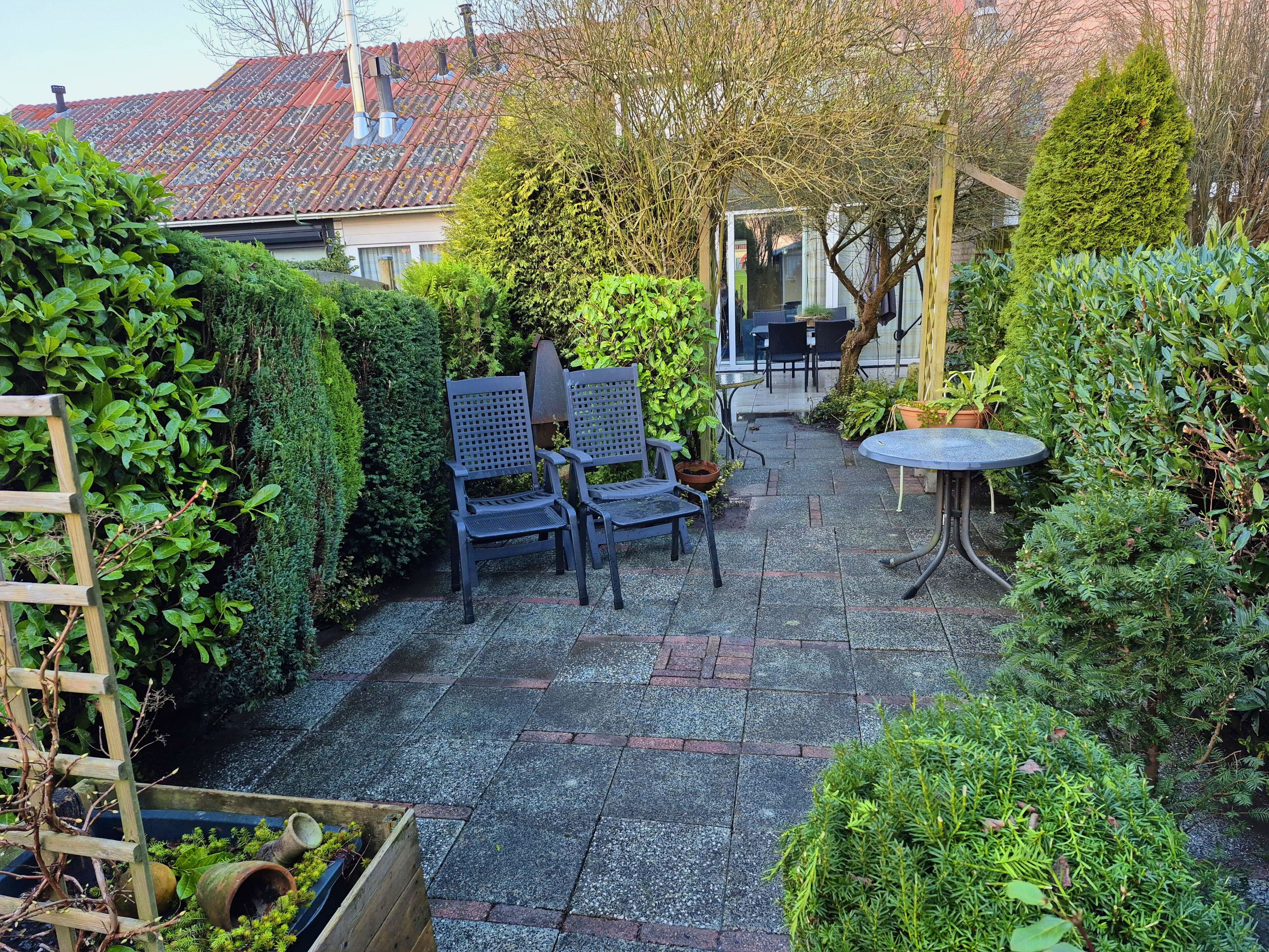 Een terras met een tafel en stoelen, omgeven door verschillende planten en een houten ladder.