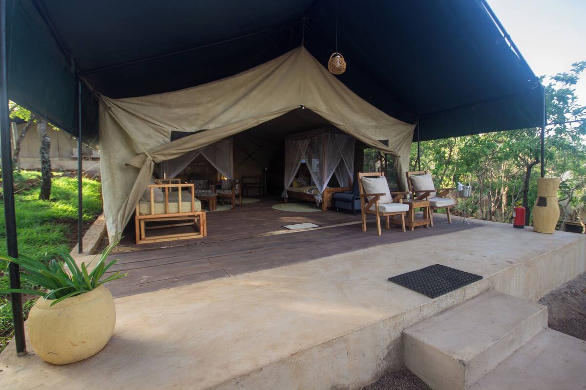 A tented outdoor area with wooden furniture and a large potted plant.