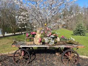 Áreas de la propiedad