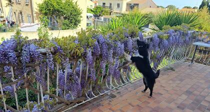 Appartement dans une maison avec trĂšs beau jardin
