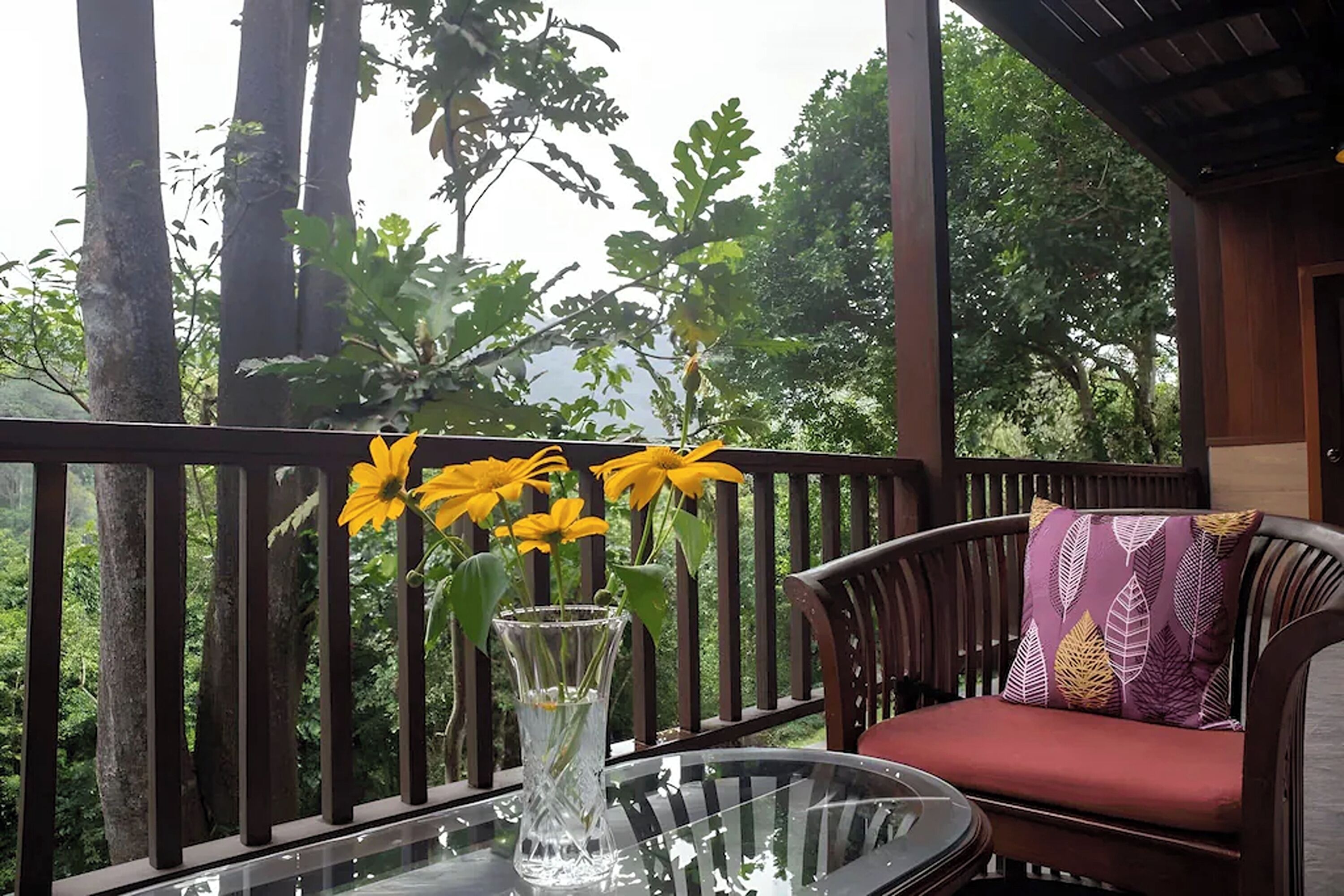 View from room