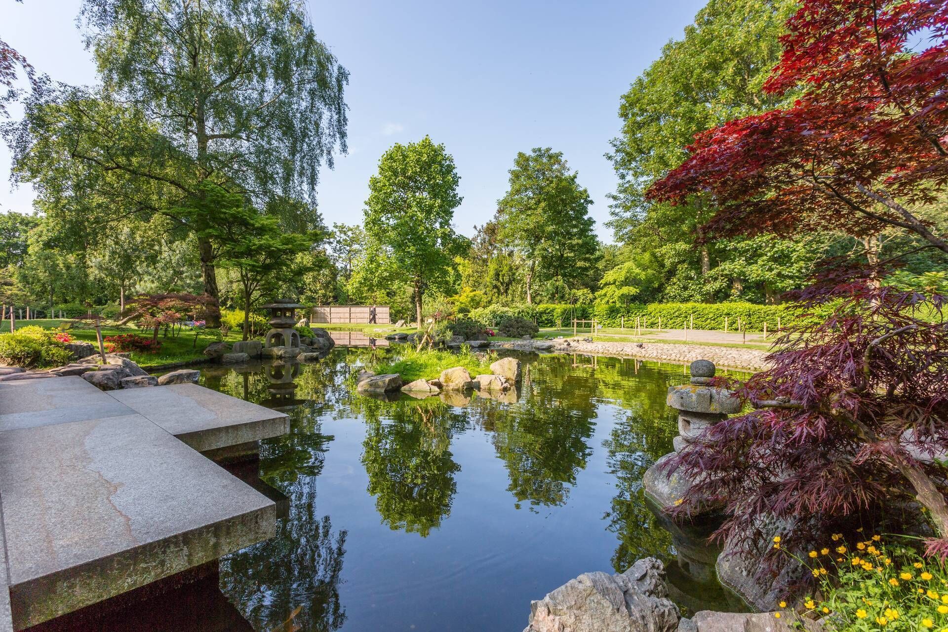 Áreas de la propiedad