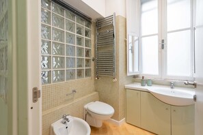 Shower, hair dryer, bidet, towels