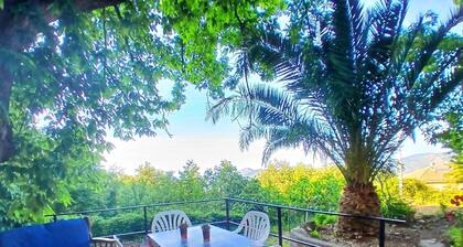 The little house in the woods for tourists