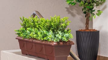 Recepción