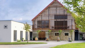 A modern building with a sloped roof, large windows, and a stone facade. - Winery and Apartments Marof (Bistrica ob Sotli)