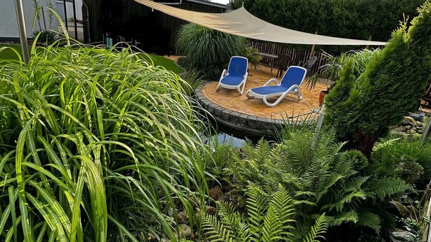 Un jardín con piscina, sillas de descanso y diversas plantas.