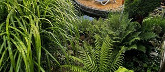 Dream apartment Sonja the charming first floor apartment