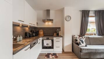 Oven, stovetop, dishwasher