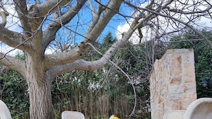 An outdoor seating area with a stone table and chairs, surrounded by a large tree and a stone wall. - Villa Apollonia B&B  (Monopoli)