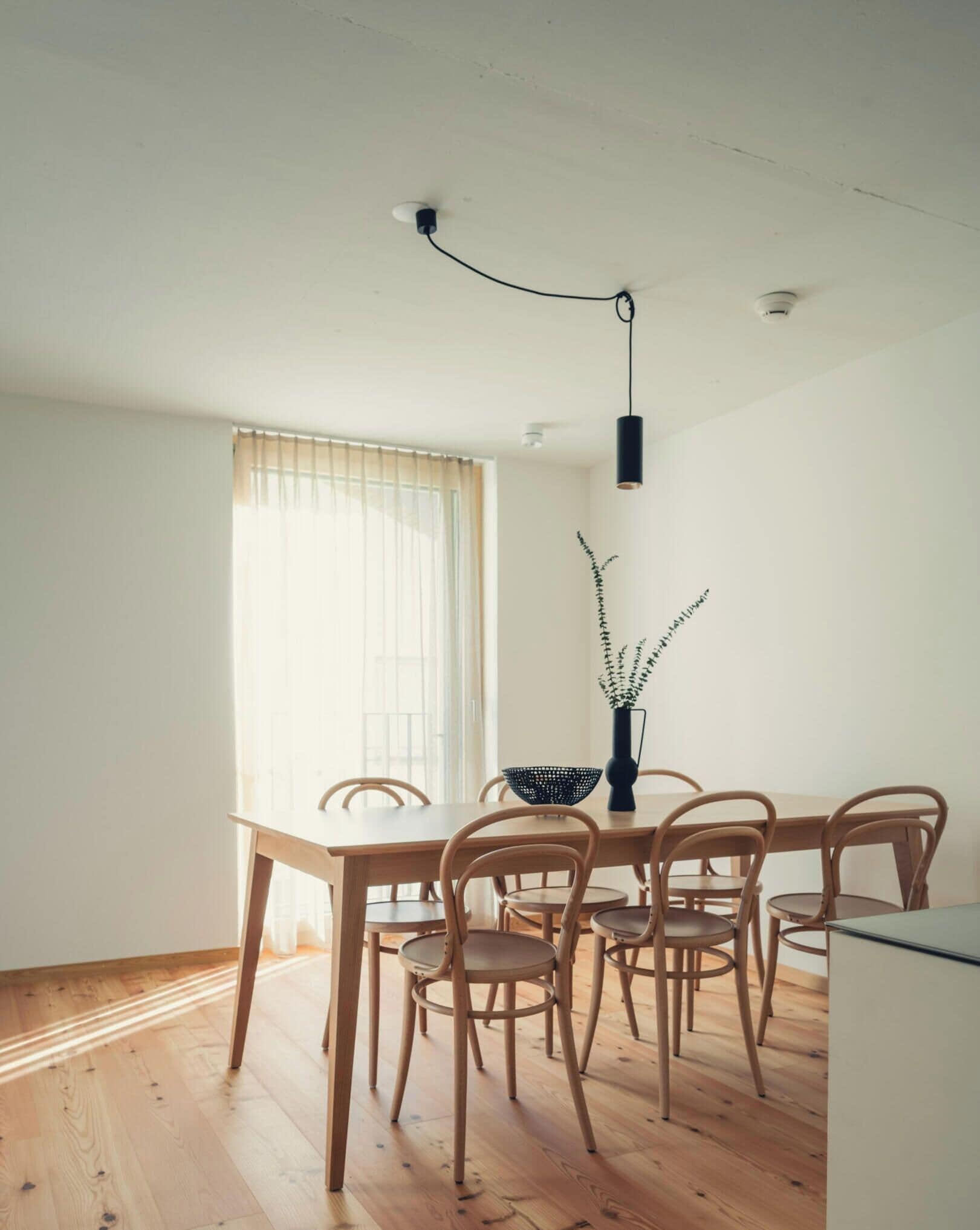 Un'area pranzo con tavolo e sedie, un vaso con una pianta e un lampadario.