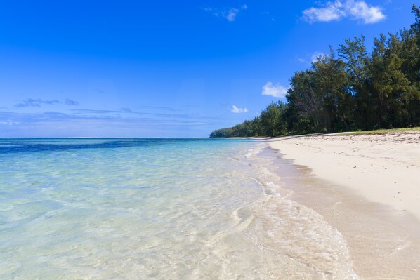 A beach with clear water, a sandy shore, and a line of trees.
