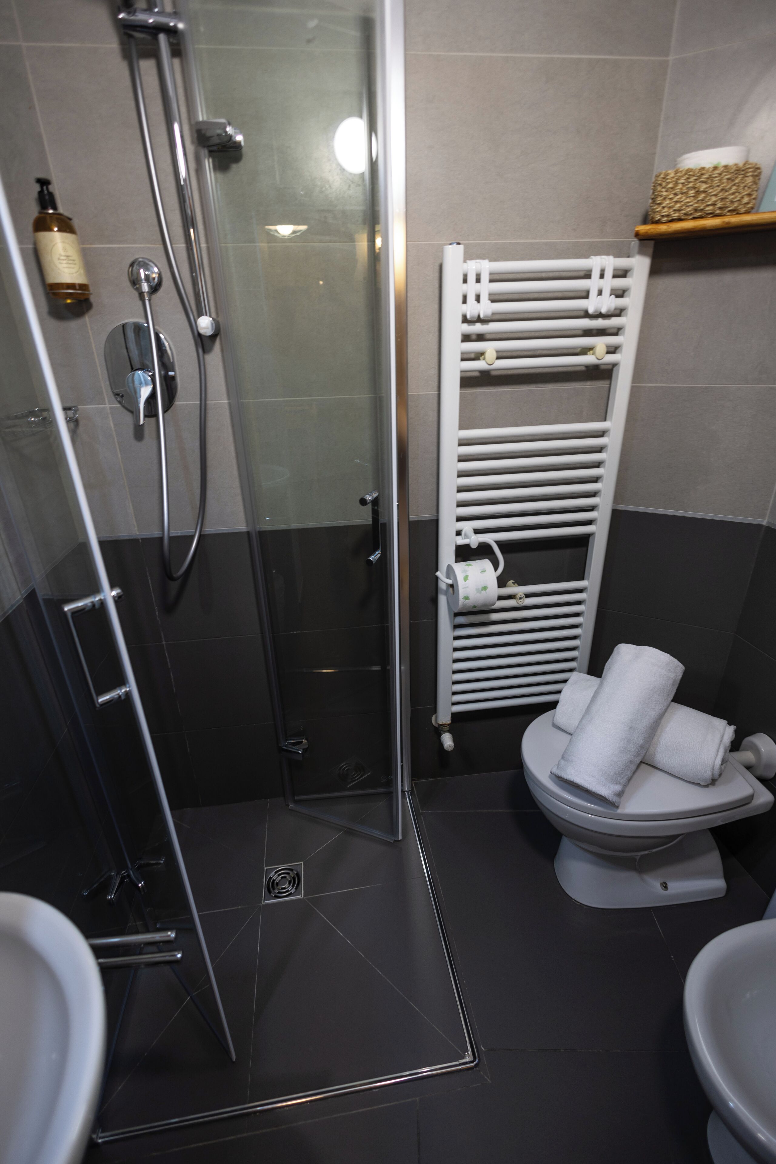 Ein modernes Badezimmer mit einer begehbaren Glasdusche, einer weißen Toilette und einem Handtuchhalter.