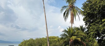Peregrine Nest, surrounded by nature & steps away from the beach.