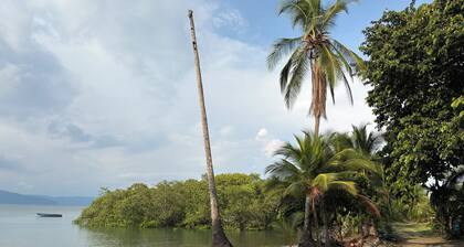 Peregrine Nest, surrounded by nature & steps away from the beach.