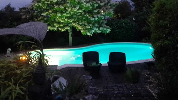 Piscina com duas espreguiçadeiras e uma árvore grande ao fundo.