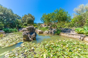 Villa | Property grounds