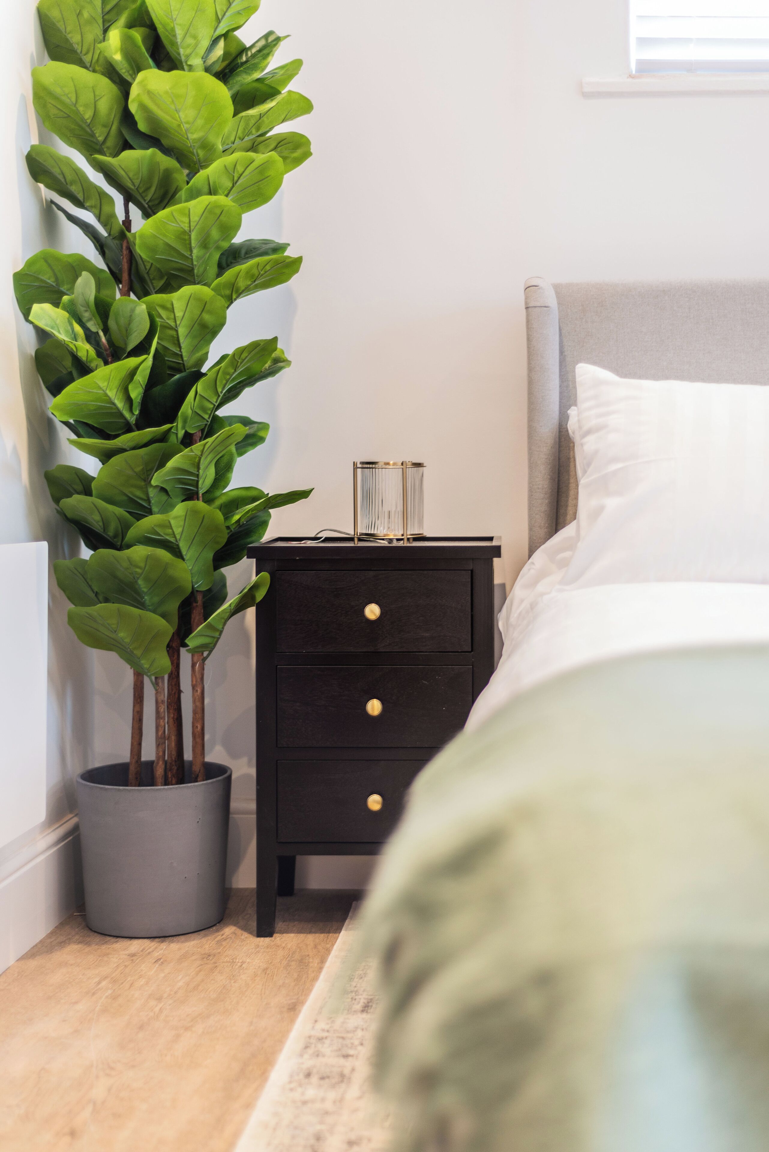 华丽开间, 1 张双人床 | 熨斗/熨衣板、免费 WiFi