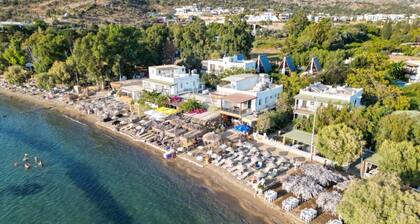 BEGONVİL GÜMÜŞLÜK