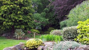 A garden with a pond, rocks, and various plants. - Robins Perch (Stockport)