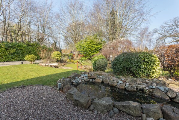 A garden with a pond, surrounded by various plants and trees. - Robins Perch (Stockport)