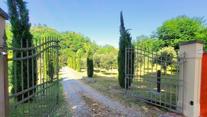 Un sentier bordé de grilles mène à un jardin luxuriant, où de grands arbres s’élèvent vers un ciel dégagé.