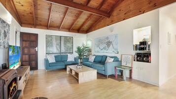 Smart-TV, Kamin