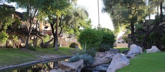 Charming 2-bedroom home by the water with beautiful pool in brilliant Mesa