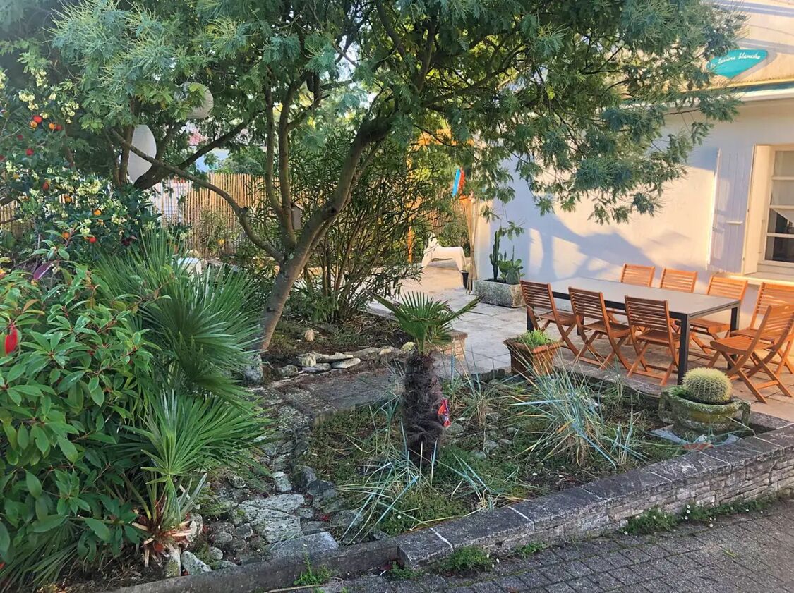 A garden with various plants and a seating area with wooden chairs and a table.