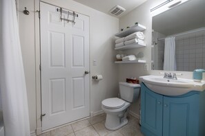 Hair dryer, towels, soap, toilet paper