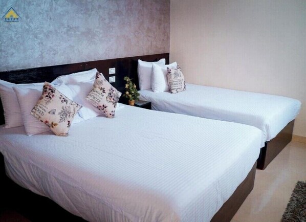 1 chambre, Wi-Fi